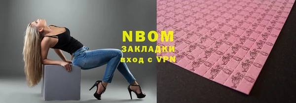 гашик Инта
