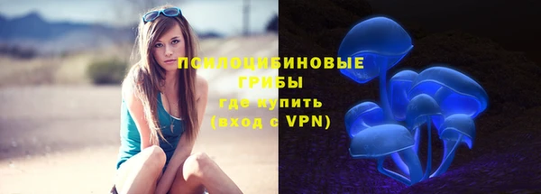 дмт Иннополис