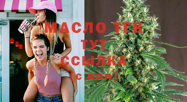 прущий лед Инсар