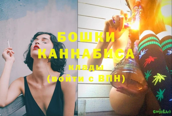 прущий лед Инсар