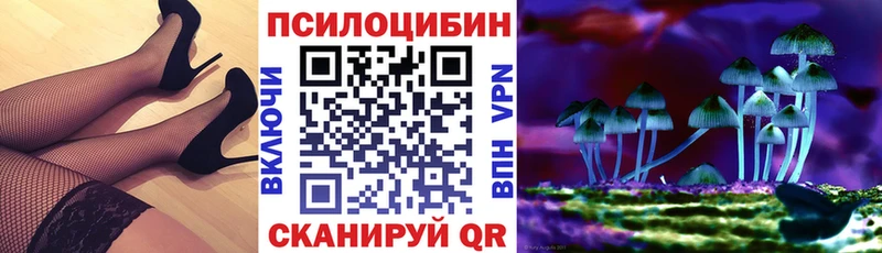 где продают наркотики  Костерёво  Псилоцибиновые грибы мухоморы 